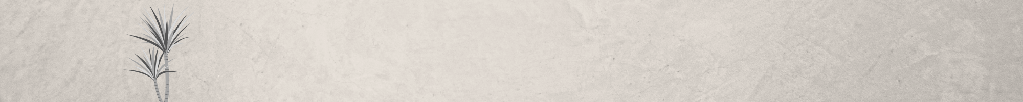 banner-img