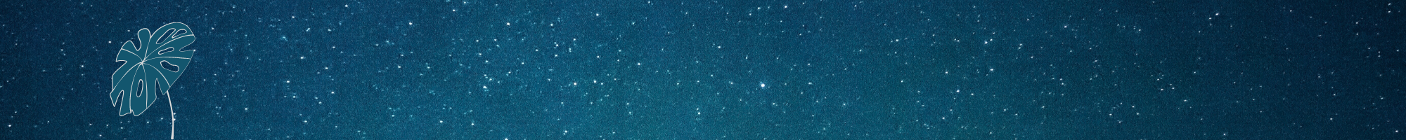 banner-img